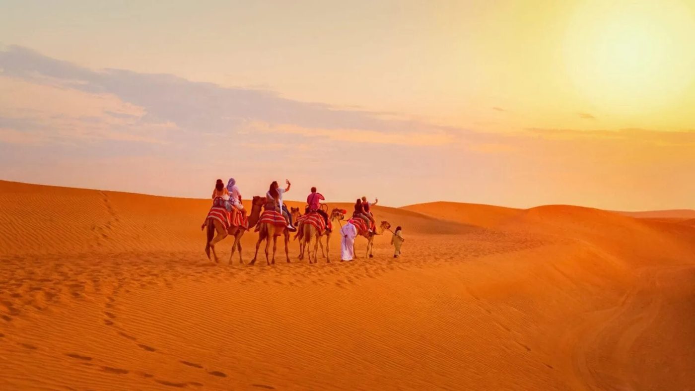 Camel caravan crossing the dunes in warm sunset light